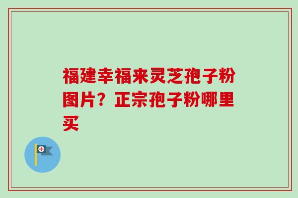 福建幸福来灵芝孢子粉图片?正宗孢子粉哪里买-第1张图片-卓越灵芝孢子粉 福建幸福来灵芝孢子粉图片?正宗孢子粉哪里买-第1张图片-卓越灵芝孢子粉