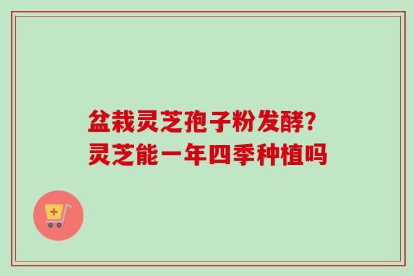 盆栽灵芝孢子粉发酵?灵芝能一年四季种植吗-第1张图片-卓越灵芝孢子粉 盆栽灵芝孢子粉发酵?灵芝能一年四季种植吗-第1张图片-卓越灵芝孢子粉
