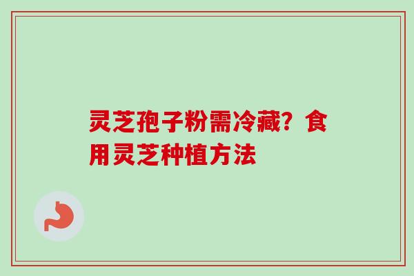 灵芝孢子粉需冷藏?食用灵芝种植方法-第1张图片-卓越灵芝孢子粉 灵芝孢子粉需冷藏?食用灵芝种植方法-第1张图片-卓越灵芝孢子粉