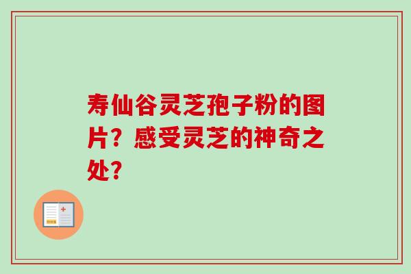 寿仙谷灵芝孢子粉的图片?感受灵芝的神奇之处?-第1张图片-卓越灵芝孢子粉 寿仙谷灵芝孢子粉的图片?感受灵芝的神奇之处?-第1张图片-卓越灵芝孢子粉