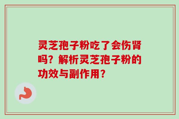灵芝孢子粉吃了会伤肾吗?解析灵芝孢子粉的功效与副作用?-第1张图片-卓越灵芝孢子粉 灵芝孢子粉吃了会伤肾吗?解析灵芝孢子粉的功效与副作用?-第1张图片-卓越灵芝孢子粉