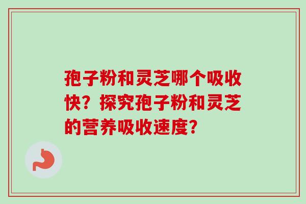 孢子粉和灵芝哪个吸收快?探究孢子粉和灵芝的营养吸收速度?-第1张图片-卓越灵芝孢子粉 孢子粉和灵芝哪个吸收快?探究孢子粉和灵芝的营养吸收速度?-第1张图片-卓越灵芝孢子粉