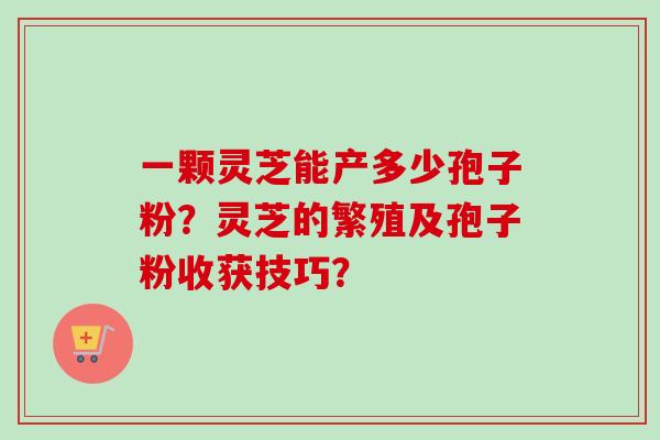 一颗灵芝能产多少孢子粉?灵芝的繁殖及孢子粉收获技巧?-第1张图片-卓越灵芝孢子粉 一颗灵芝能产多少孢子粉?灵芝的繁殖及孢子粉收获技巧?-第1张图片-卓越灵芝孢子粉