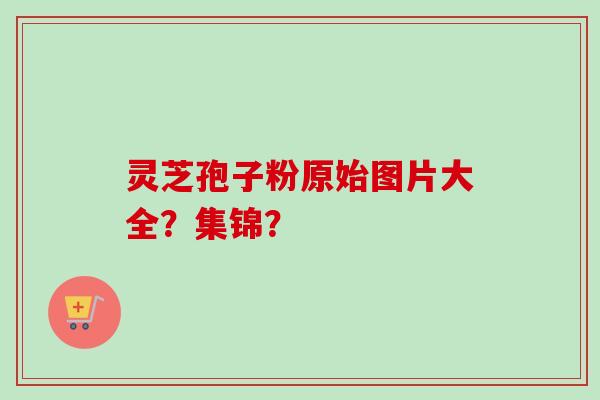 灵芝孢子粉原始图片大全?集锦?-第1张图片-卓越灵芝孢子粉 灵芝孢子粉原始图片大全?集锦?-第1张图片-卓越灵芝孢子粉