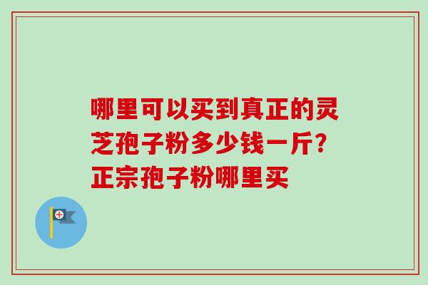 哪里可以买到真正的灵芝孢子粉多少钱一斤？正宗孢子粉哪里买-第1张图片-卓越灵芝孢子粉