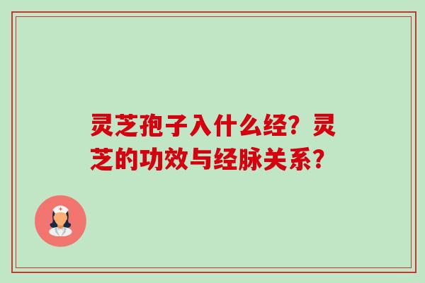 灵芝孢子入什么经？灵芝的功效与经脉关系？-第1张图片-卓越灵芝孢子粉