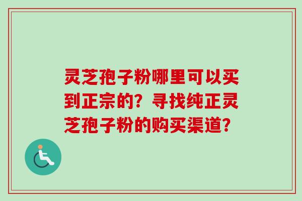 灵芝孢子粉哪里可以买到正宗的？寻找纯正灵芝孢子粉的购买渠道？-第1张图片-卓越灵芝孢子粉