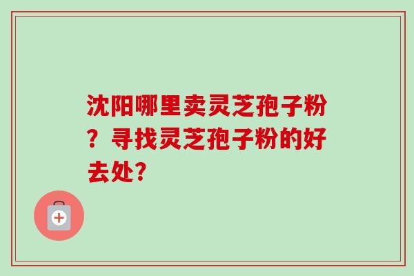 沈阳哪里卖灵芝孢子粉？寻找灵芝孢子粉的好去处？-第1张图片-卓越灵芝孢子粉