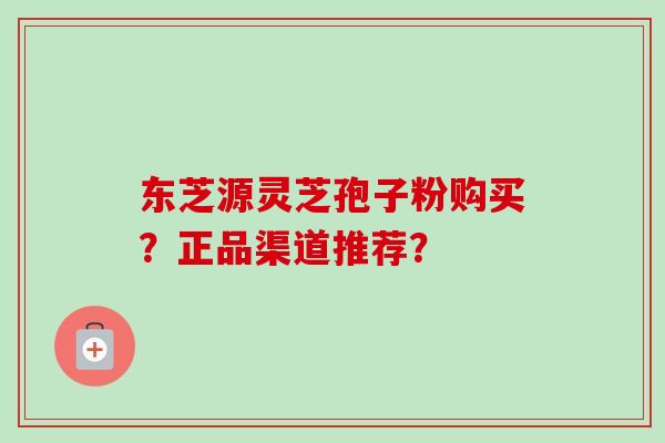 东芝源灵芝孢子粉购买？正品渠道推荐？-第1张图片-卓越灵芝孢子粉