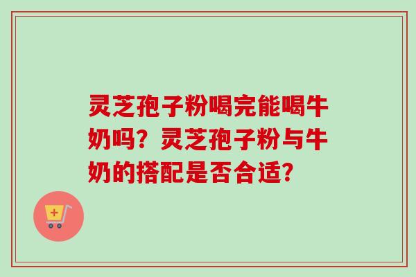 灵芝孢子粉喝完能喝牛奶吗？灵芝孢子粉与牛奶的搭配是否合适？-第1张图片-卓越灵芝孢子粉