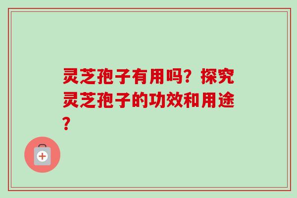 灵芝孢子有用吗？探究灵芝孢子的功效和用途？-第1张图片-卓越灵芝孢子粉