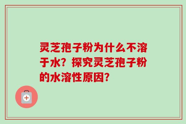 灵芝孢子粉为什么不溶于水?探究灵芝孢子粉的水溶性原因?-第1张图片-卓越灵芝孢子粉 灵芝孢子粉为什么不溶于水?探究灵芝孢子粉的水溶性原因?-第1张图片-卓越灵芝孢子粉