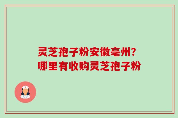 灵芝孢子粉安徽亳州？哪里有收购灵芝孢子粉-第1张图片-卓越灵芝孢子粉
