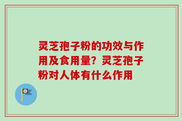 灵芝孢子粉的功效与作用及食用量？灵芝孢子粉对人体有什么作用-第1张图片-卓越灵芝孢子粉