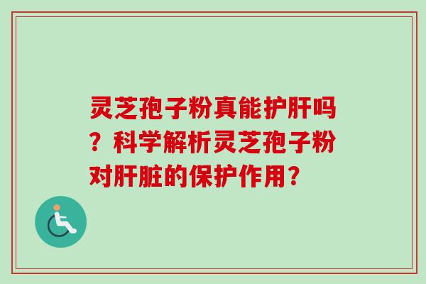 灵芝孢子粉真能护肝吗？科学解析灵芝孢子粉对肝脏的保护作用？-第1张图片-卓越灵芝孢子粉