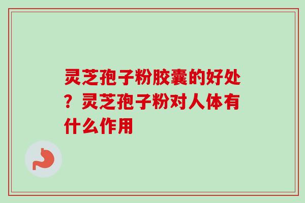 灵芝孢子粉胶囊的好处？灵芝孢子粉对人体有什么作用-第1张图片-卓越灵芝孢子粉