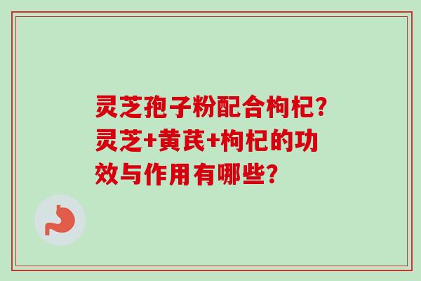 灵芝孢子粉配合枸杞？灵芝+黄芪+枸杞的功效与作用有哪些？-第1张图片-卓越灵芝孢子粉