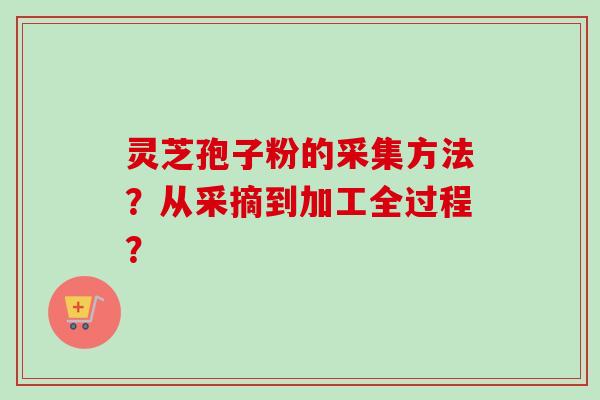 灵芝孢子粉的采集方法?从采摘到加工全过程?-第1张图片-卓越灵芝孢子粉 灵芝孢子粉的采集方法?从采摘到加工全过程?-第1张图片-卓越灵芝孢子粉