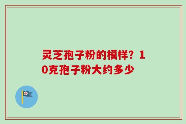 灵芝孢子粉的模样？10克孢子粉大约多少-第1张图片-卓越灵芝孢子粉