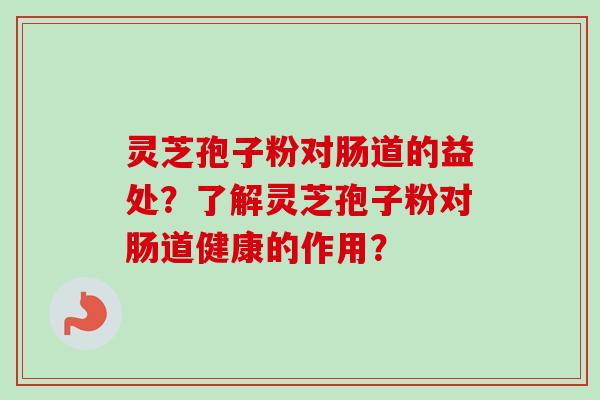 灵芝孢子粉对肠道的益处?了解灵芝孢子粉对肠道健康的作用?-第1张图片-卓越灵芝孢子粉 灵芝孢子粉对肠道的益处?了解灵芝孢子粉对肠道健康的作用?-第1张图片-卓越灵芝孢子粉
