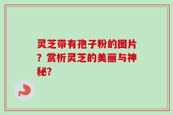 灵芝带有孢子粉的图片？赏析灵芝的美丽与神秘？-第1张图片-卓越灵芝孢子粉