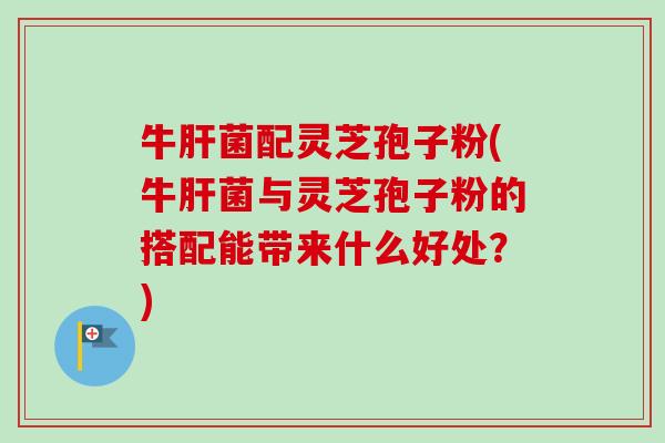 牛肝菌配灵芝孢子粉(牛肝菌与灵芝孢子粉的搭配能带来什么好处?)-第1张图片-卓越灵芝孢子粉 牛肝菌配灵芝孢子粉(牛肝菌与灵芝孢子粉的搭配能带来什么好处?)-第1张图片-卓越灵芝孢子粉