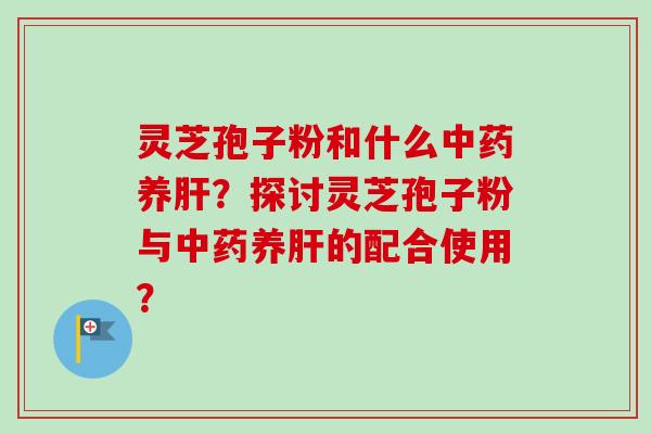 灵芝孢子粉和什么中药养肝？探讨灵芝孢子粉与中药养肝的配合使用？-第1张图片-卓越灵芝孢子粉