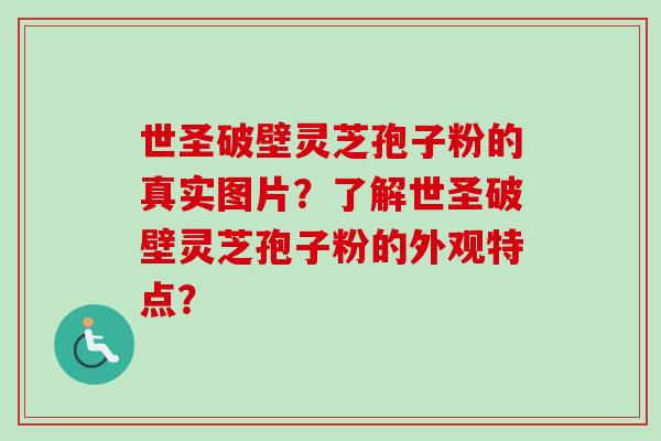 世圣破壁灵芝孢子粉的真实图片？了解世圣破壁灵芝孢子粉的外观特点？-第1张图片-卓越灵芝孢子粉