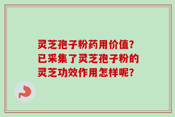 灵芝孢子粉药用价值？已采集了灵芝孢子粉的灵芝功效作用怎样呢？-第1张图片-卓越灵芝孢子粉