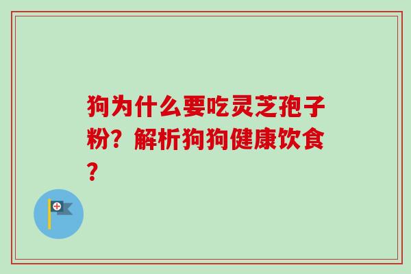 狗为什么要吃灵芝孢子粉?解析狗狗健康饮食?-第1张图片-卓越灵芝孢子粉 狗为什么要吃灵芝孢子粉?解析狗狗健康饮食?-第1张图片-卓越灵芝孢子粉