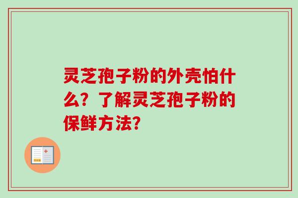 灵芝孢子粉的外壳怕什么?了解灵芝孢子粉的保鲜方法?-第1张图片-卓越灵芝孢子粉 灵芝孢子粉的外壳怕什么?了解灵芝孢子粉的保鲜方法?-第1张图片-卓越灵芝孢子粉