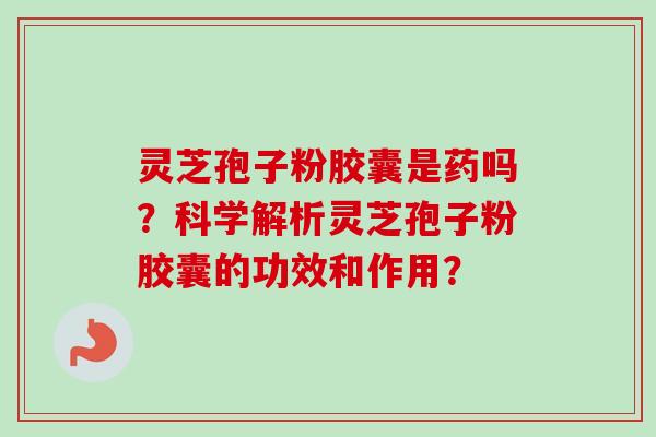 灵芝孢子粉胶囊是药吗?科学解析灵芝孢子粉胶囊的功效和作用?-第1张图片-卓越灵芝孢子粉 灵芝孢子粉胶囊是药吗?科学解析灵芝孢子粉胶囊的功效和作用?-第1张图片-卓越灵芝孢子粉