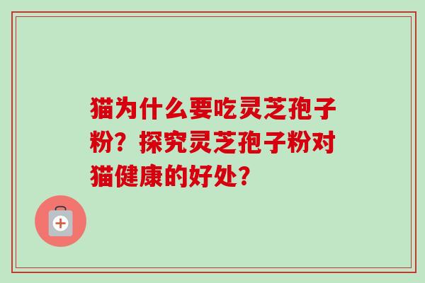 猫为什么要吃灵芝孢子粉？探究灵芝孢子粉对猫健康的好处？-第1张图片-卓越灵芝孢子粉