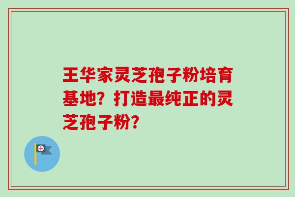 王华家灵芝孢子粉培育基地？打造最纯正的灵芝孢子粉？-第1张图片-卓越灵芝孢子粉