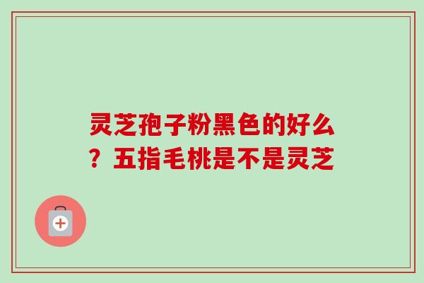灵芝孢子粉黑色的好么?五指毛桃是不是灵芝-第1张图片-卓越灵芝孢子粉 灵芝孢子粉黑色的好么?五指毛桃是不是灵芝-第1张图片-卓越灵芝孢子粉