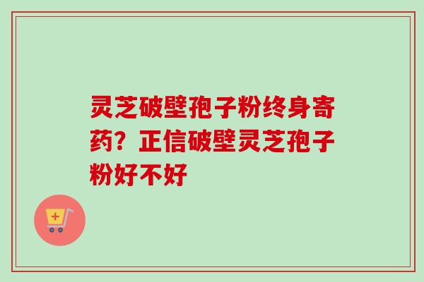 灵芝破壁孢子粉终身寄药？正信破壁灵芝孢子粉好不好-第1张图片-卓越灵芝孢子粉
