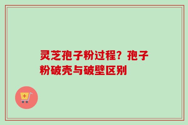 灵芝孢子粉过程？孢子粉破壳与破壁区别-第1张图片-卓越灵芝孢子粉