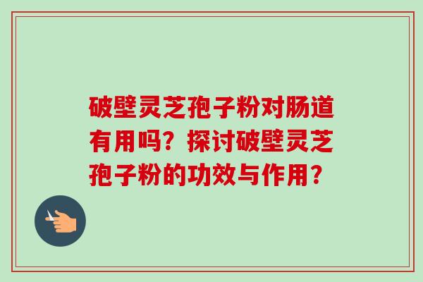 破壁灵芝孢子粉对肠道有用吗?探讨破壁灵芝孢子粉的功效与作用?-第1张图片-卓越灵芝孢子粉 破壁灵芝孢子粉对肠道有用吗?探讨破壁灵芝孢子粉的功效与作用?-第1张图片-卓越灵芝孢子粉