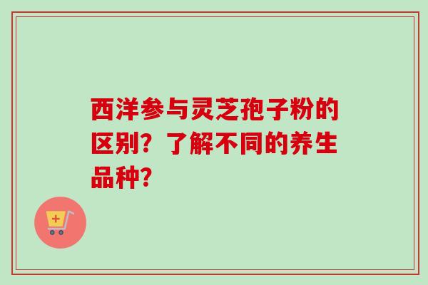 西洋参与灵芝孢子粉的区别?了解不同的养生品种?-第1张图片-卓越灵芝孢子粉 西洋参与灵芝孢子粉的区别?了解不同的养生品种?-第1张图片-卓越灵芝孢子粉