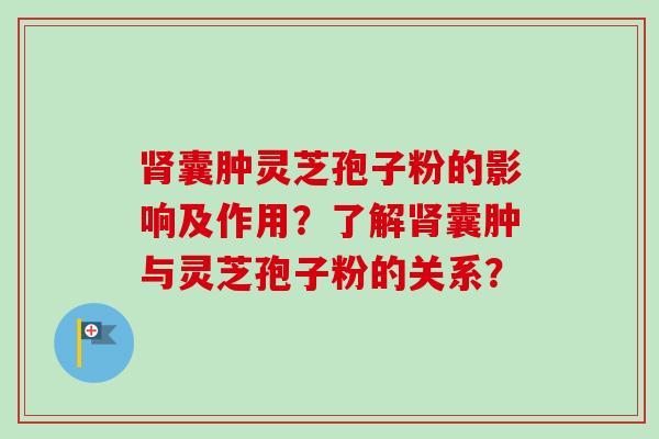 肾囊肿灵芝孢子粉的影响及作用?了解肾囊肿与灵芝孢子粉的关系?-第1张图片-卓越灵芝孢子粉 肾囊肿灵芝孢子粉的影响及作用?了解肾囊肿与灵芝孢子粉的关系?-第1张图片-卓越灵芝孢子粉