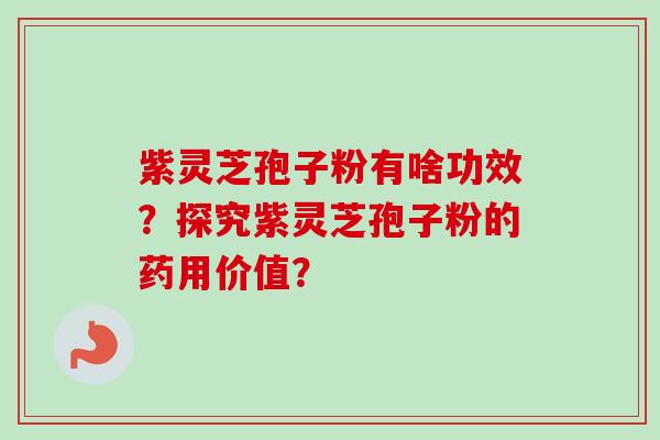 紫灵芝孢子粉有啥功效?探究紫灵芝孢子粉的药用价值?-第1张图片-卓越灵芝孢子粉 紫灵芝孢子粉有啥功效?探究紫灵芝孢子粉的药用价值?-第1张图片-卓越灵芝孢子粉