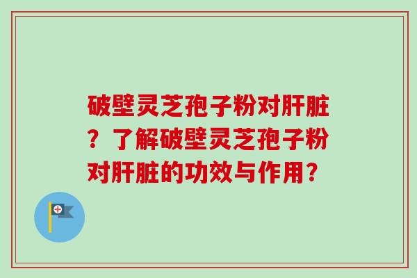 破壁灵芝孢子粉对肝脏?了解破壁灵芝孢子粉对肝脏的功效与作用?-第1张图片-卓越灵芝孢子粉 破壁灵芝孢子粉对肝脏?了解破壁灵芝孢子粉对肝脏的功效与作用?-第1张图片-卓越灵芝孢子粉