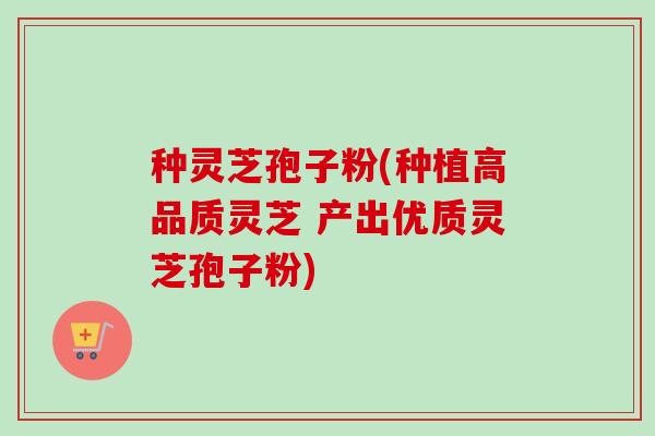 种灵芝孢子粉(种植高品质灵芝 产出优质灵芝孢子粉)-第1张图片-卓越灵芝孢子粉 种灵芝孢子粉(种植高品质灵芝 产出优质灵芝孢子粉)-第1张图片-卓越灵芝孢子粉