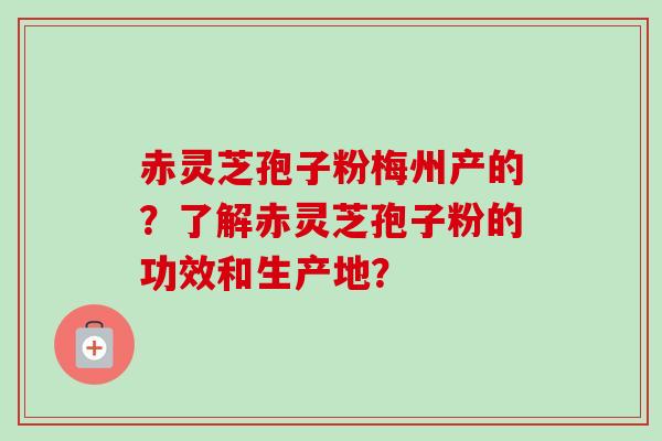 赤灵芝孢子粉梅州产的?了解赤灵芝孢子粉的功效和生产地?-第1张图片-卓越灵芝孢子粉 赤灵芝孢子粉梅州产的?了解赤灵芝孢子粉的功效和生产地?-第1张图片-卓越灵芝孢子粉