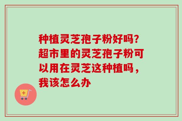 种植灵芝孢子粉好吗?超市里的灵芝孢子粉可以用在灵芝这种植吗,我该怎么办-第1张图片-卓越灵芝孢子粉 种植灵芝孢子粉好吗?超市里的灵芝孢子粉可以用在灵芝这种植吗,我该怎么办-第1张图片-卓越灵芝孢子粉