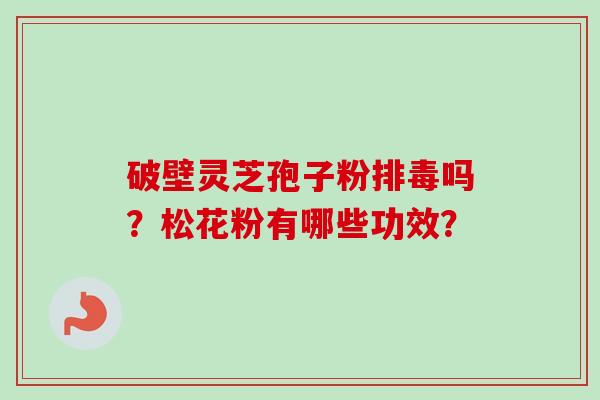 破壁灵芝孢子粉排毒吗？松花粉有哪些功效？-第1张图片-卓越灵芝孢子粉