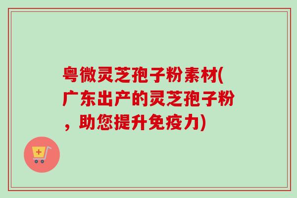 粤微灵芝孢子粉素材(广东出产的灵芝孢子粉,助您提升免疫力)-第1张图片-卓越灵芝孢子粉 粤微灵芝孢子粉素材(广东出产的灵芝孢子粉,助您提升免疫力)-第1张图片-卓越灵芝孢子粉