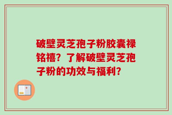 破壁灵芝孢子粉胶囊禄铭禧?了解破壁灵芝孢子粉的功效与福利?-第1张图片-卓越灵芝孢子粉 破壁灵芝孢子粉胶囊禄铭禧?了解破壁灵芝孢子粉的功效与福利?-第1张图片-卓越灵芝孢子粉