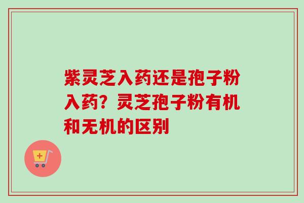 紫灵芝入药还是孢子粉入药？灵芝孢子粉有机和无机的区别-第1张图片-卓越灵芝孢子粉