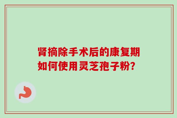 肾摘除手术后的康复期如何使用灵芝孢子粉？-第1张图片-卓越灵芝孢子粉